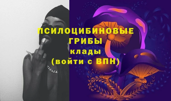 герыч Арсеньев