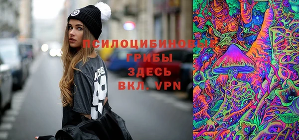 спиды Алексеевка