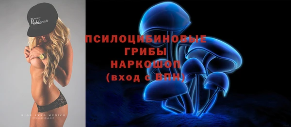 спиды Алексеевка