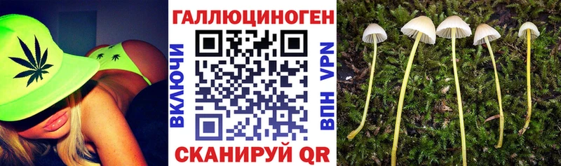Псилоцибиновые грибы Magic Shrooms  Могоча 